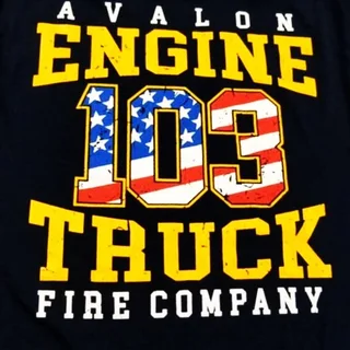 Avalon Volunteer Fire Cormpany logo