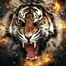 Tigerton Fire Department logo